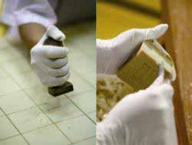 【人の手により引き出される自然の力】