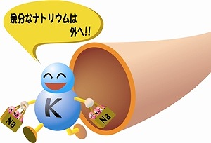 カリウムとは?