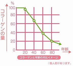 コラーゲン補っていますか？