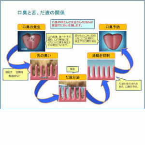 口臭と舌、だ液の深い関係