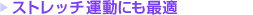 �X�g���b�`�^���ɂ��œK