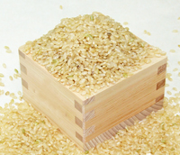 shinmai-image02