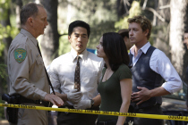 THE MENTALIST / �����^���X�g