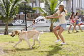 マーリー 世界一おバカな犬が教えてくれたこと