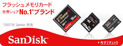 �t���b�V���������J�[�h ���E�V�F�ANo.1�u�����h SanDisk
