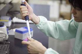 母乳から学んだものだけを配合すること