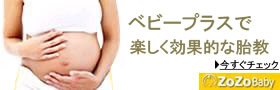 �x�r�[�v���X�Ŋy�������ʓI�ȑً��@ZOZOBaby
