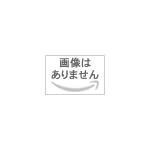 SANYO USB出力付きリチウムイオンバッテリー