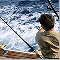 Amazon Sports Fishing Store