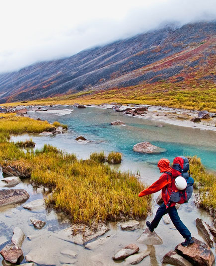 Amazon �� patagonia(�p�^�S�j�A) ����̃X�g�A