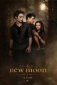 New Moon Posters