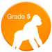Gorillas, Grade 5