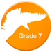 Falcons, Grade 7
