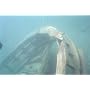 Diver Down: Real-World SCUBA Accidents and How to &hellip by Michael Ange