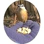 Nourrir les oiseaux dans sa main by HUGH WIBERG
