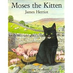 Moses The Kitten