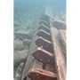 Diver Down: Real-World SCUBA Accidents and How to &hellip by Michael Ange