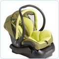 Infant