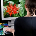 Graphics Software