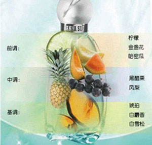 成分介绍