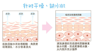 产品介绍