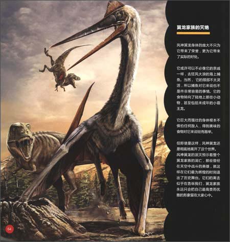 翼龙专家:史前天空统治者深度解密(下)\/杨杨