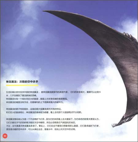 翼龙专家:史前天空统治者深度解密(下)\/杨杨