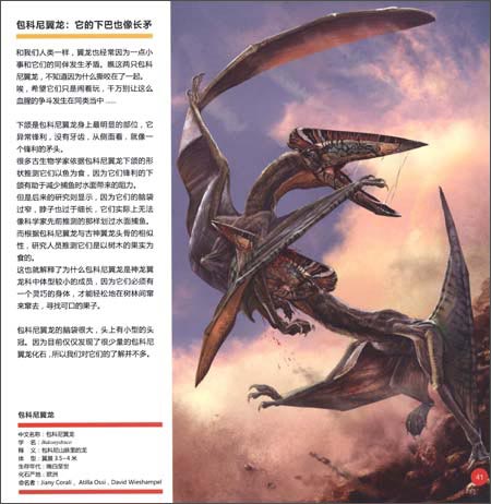 翼龙专家:史前天空统治者深度解密(下)\/杨杨