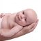 Productos para beb�s de 0 a 3 meses
