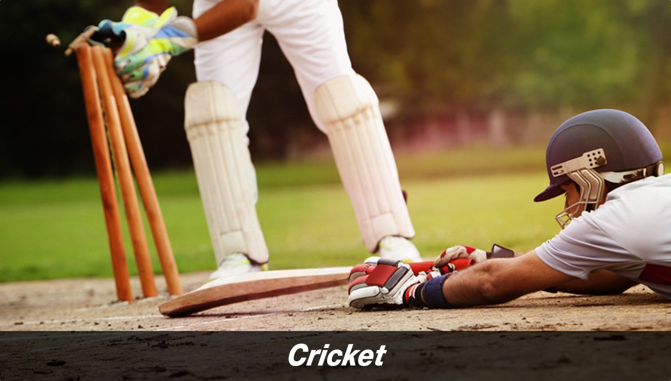 Sports & Fitness Equipment Buy Sports & Fitness Equipment Online at