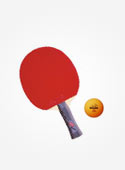 Table Tennis 