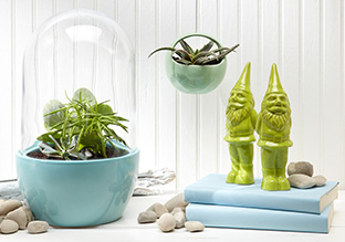 Vasen & Terrarien mit Schnittlauch!