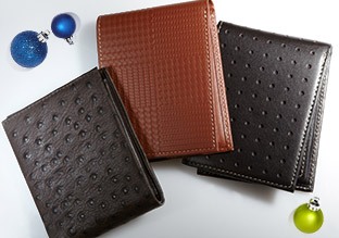 Geld Minded: Geldbörsen und Kartenetuis!