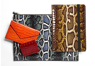 Must Have: Bunte Accessoires!