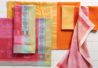 Garnier-Thiebaut Leinen!