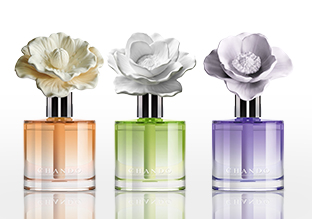 70 % Rabatt : CHANDO Diffusoren und Kerzen!