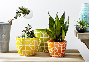 Garden Retreat: Planters, Accents & More