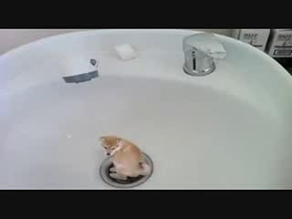 ���̓�����ς�ɂ̓N���b�N���܂��B
