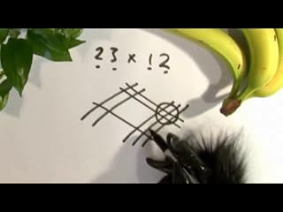 Klicken, um dieses Video zu sehen