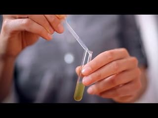 Klicken, um dieses Video zu sehen