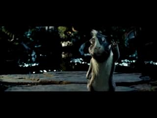 Cliquez pour regarder cette vid�o