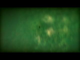 Klicken, um dieses Video zu sehen