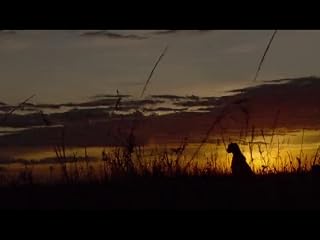 Cliquez pour regarder cette vid�o