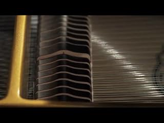 Klicken, um dieses Video zu sehen