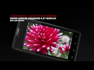 Klicken, um dieses Video zu sehen