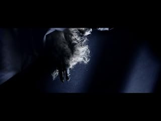Klicken, um dieses Video zu sehen