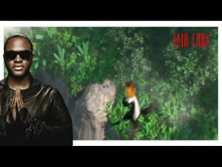 Klicken, um dieses Video zu sehen