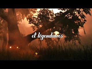 Cliquez pour regarder cette vid�o