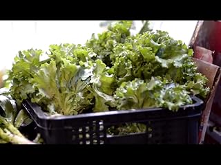 Click to watch this video