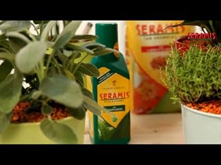 Klicken, um dieses Video zu sehen